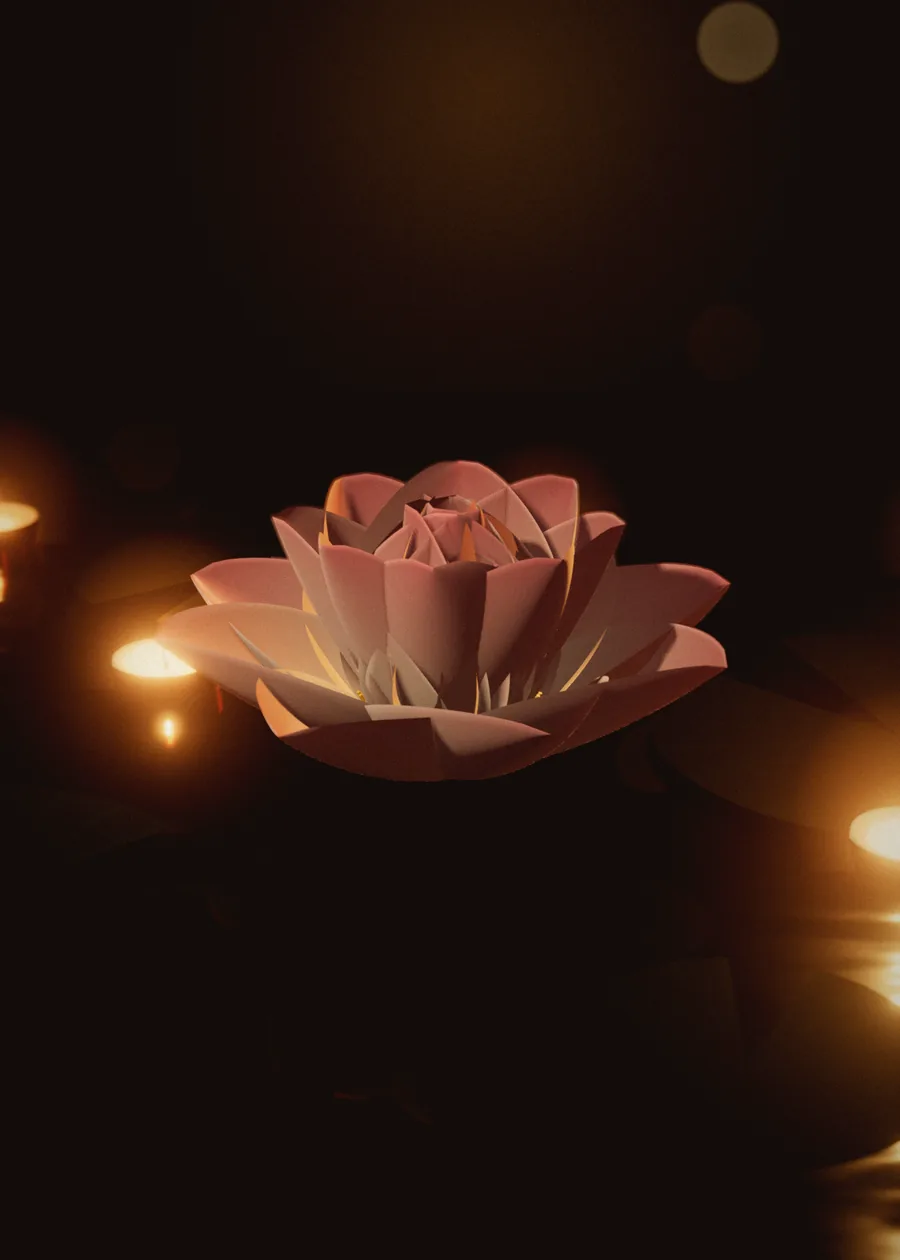 زهرة لوتس على ماء هادئ
